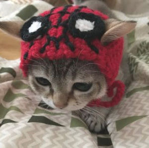 Meet your Posher, Ema